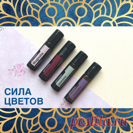 Девочки и цветы - понятия неразделимые. Наверное поэтому эфирные масла из цветов как будто специально созданы для того, чтобы ухаживать за нашим лицом, подтягивать кожу, убирать морщинки, регулировать уровень наших гормонов, убирать целлюлит,  делать нас более раскрепощенными, дарить радость жизни и привлекать мужчин. Узнайте, какое масло подойдет вам !