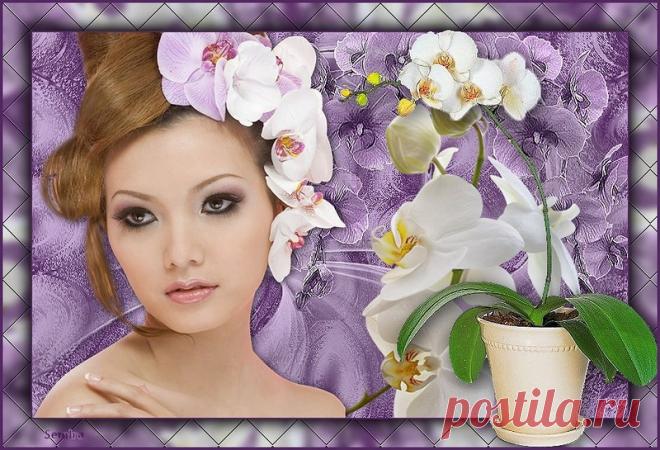 Клипарт"Орхидея"