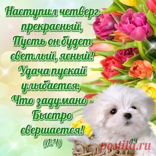 Елена Шуваева