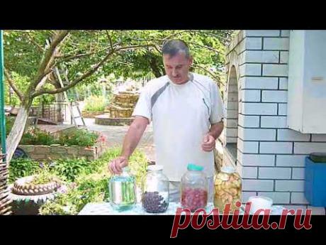 Наливка из клубники, из вишни или других фруктов на самогоне.