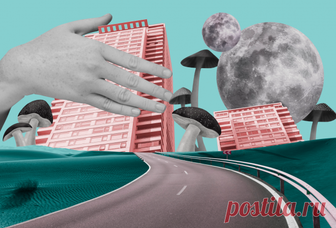 Почему нам снятся сны