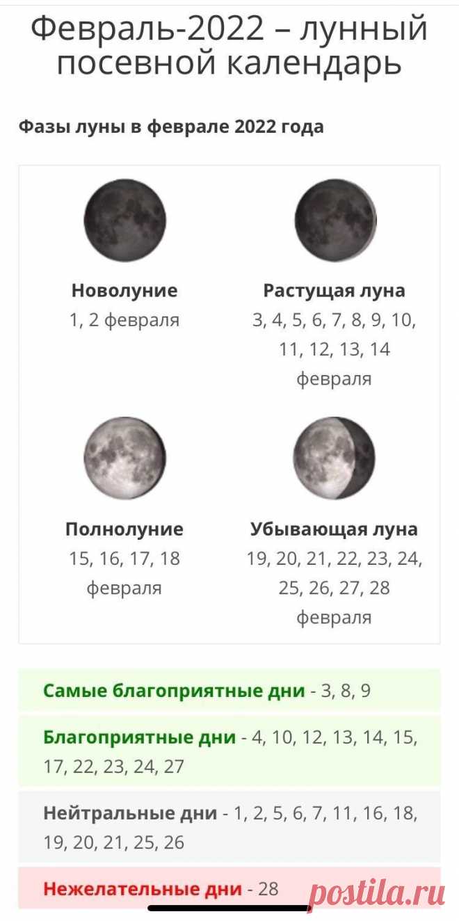 Лунный календарь садовода-огородника на февраль-июнь 2022 года. Заметка только для тех, кому это важно!             Если Вы не верите во влияние Луны на жизнь на земле - доброго вам утра и здоровья, пейте кофе или чай и пропустите эту заметку.