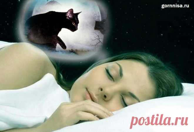 Чёрная кошка во сне - что сон несёт в реальную жизнь | ГОРНИЦА Чёрная кошка во сне - что сон несёт в реальную жизнь. Традиционно считают черную кошку символом угрозы и предвестником неудач. Однако, если