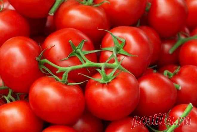Помидоры с рисом на зиму