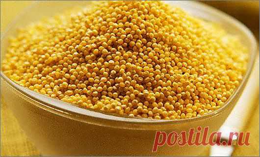 Хронический пиелонефрит. Питание