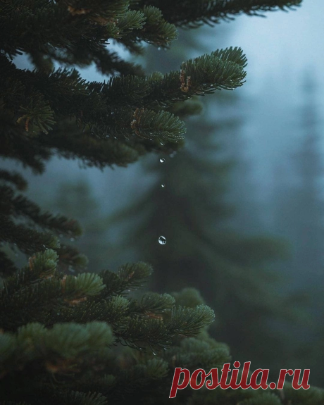 i (1080×1350)