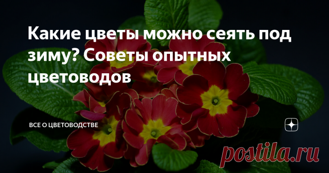 Какие цветы можно сеять под зиму? Советы опытных цветоводов Несмотря на то, что осень у многих огородников ассоциируется с окончанием сезона, это время считается наиболее удачным для посева некоторых растений.

Многие однолетники, высаженные осенью, дают очень ранние всходы, и зацветают намного раньше, чем те же растения, высаженные весной.
