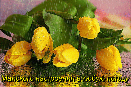 462308789876774.gif (599×399)