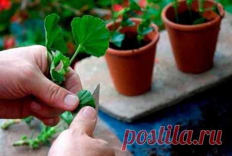 Одноклассники