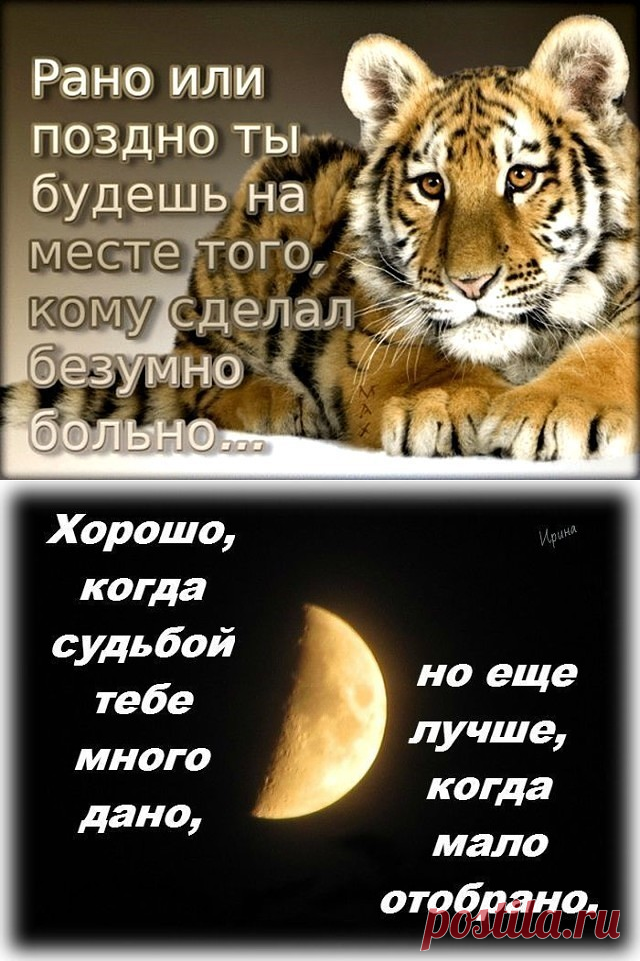 (1) Одноклассники