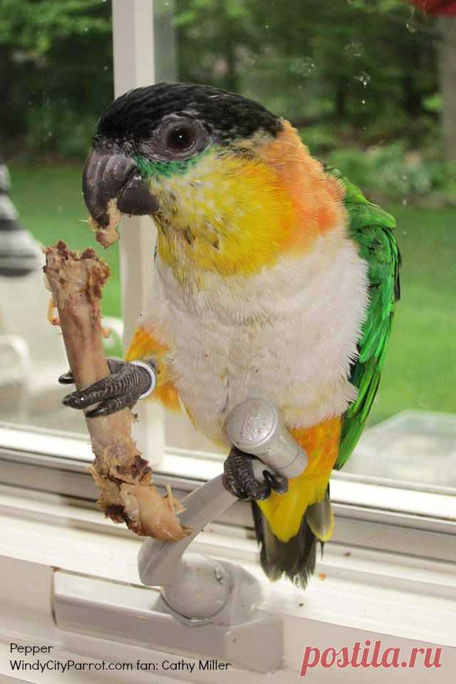 (1) Facebook