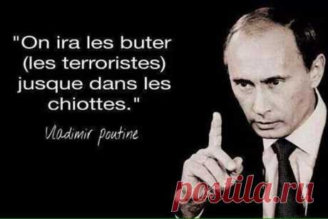 Давно пора их «мочить в сортире»!