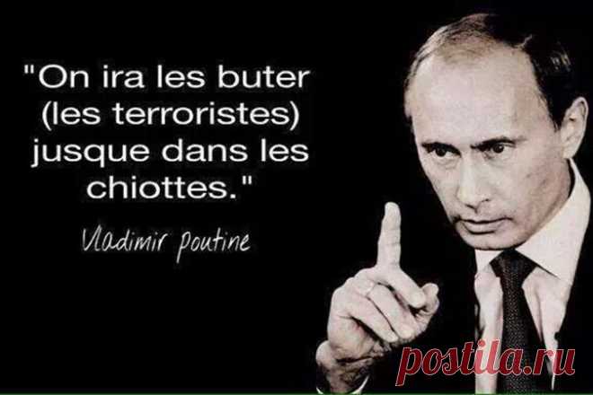 Давно пора их «мочить в сортире»!