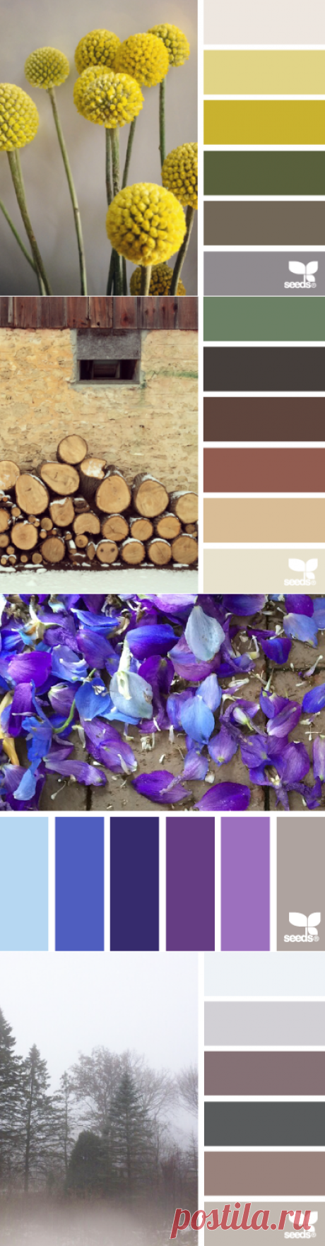 design seeds | for all who ♥ color