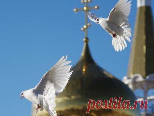 Благовещение 7 апреля 2021 года: традиции и приметы 7 апреля всех православных людей ожидает большой праздник. Эксперты рассказали о том, каковы его главные традиции и с каким событием из жизни Божьей Матери он напрямую связан.
