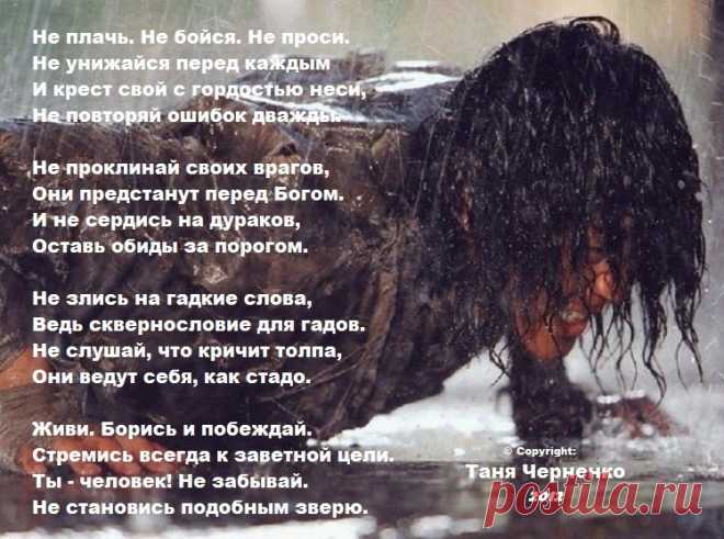 image (749×557)