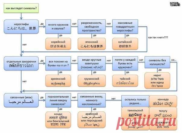 Как разобраться какой язык перед вами ?