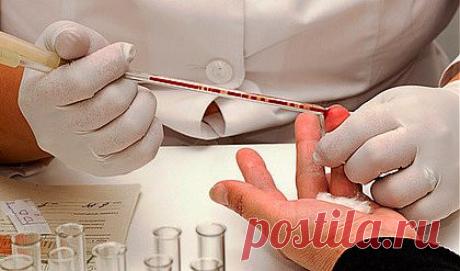 Расшифровка анализов онлайн - Блог Марина на 24open.ru