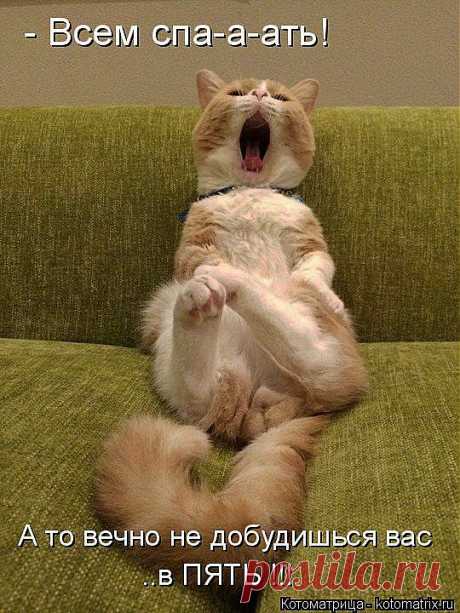 kotomatritsa_R.jpg (Изображение JPEG, 540 × 720 пикселов) - Масштабированное (96%)