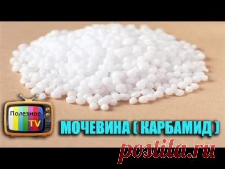 Применение мочевины как удобрение на огороде - инструкция, видео