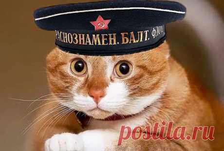 Искра Селезнева | ВКонтакте