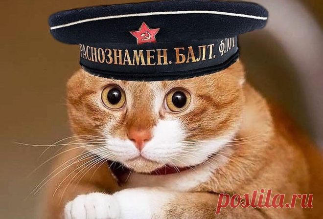 Искра Селезнева | ВКонтакте