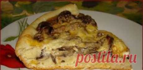 Грибная пицца-пирог. Потрясающая вкусность! Делается легко и быстро.