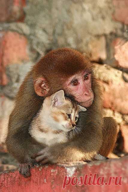(5) Facebook