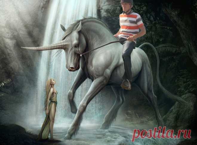 В мире грёз