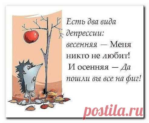 ДОЛОЙ ДЕПРЕССИЮ....
1. Купите себе белые занавески ( вот в икее есть полотняные и недорогие), закройте ими вид на печальную и тусклую действительность за окном и поставьте за них яркую лампу - настольную, напольную - как вам окно позволяет. И пусть горит, и кажется, что там светлый ясный день.