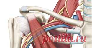Йогатерапия | Йога для начинающих для здоровья | Дзен