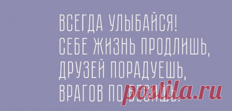 Забавные шутки, которые избавят вас от плохого настроения