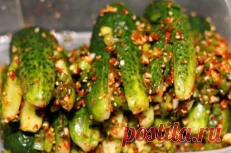 Ои Собаджи (кимчи из огурцов, огурцы по корейски) : Закуски и бутерброды