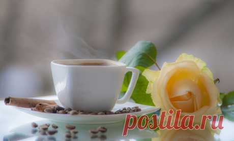 ФотоЛюбка * – ФотоКто