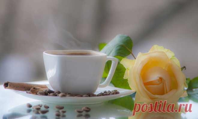 ФотоЛюбка * – ФотоКто