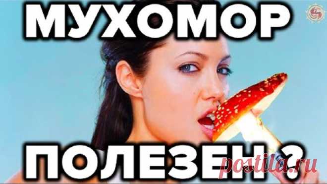 МYХ0М0РЫ - ЧТО ОТ НАС СКРЫЛИ...М?