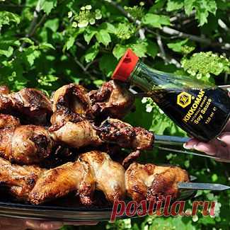 Шашлычок на пикничок, второе блюдо. Пошаговый рецепт с фото на Gastronom.ru