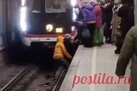 Появилось видео со спасением упавшей на пути пенсионерки в московском метро. Появилось видео со спасением упавшей на пути пенсионерки на станции метро «Текстильщики» в Москве. Соответствующие кадры опубликовала газета «Московский комсомолец» в Telegram-канале. На представленном ролике видно, как спустившийся вниз мужчина помогает пожилой женщине взобраться обратно.