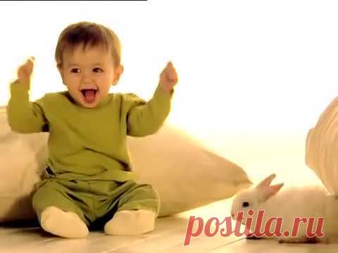 Tiny Love Развивающий мультфильм для детей от 6 месяцев - 2 года Tiny Love developing cartoon