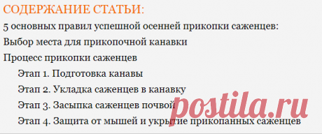 Прикопка саженцев на зиму - 5 правил успешной прикопки - Дачные советы
