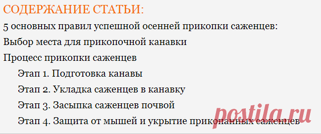 Прикопка саженцев на зиму - 5 правил успешной прикопки - Дачные советы