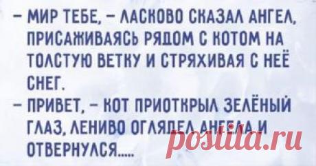 Кот и Ангел. Самая добрая сказка ...