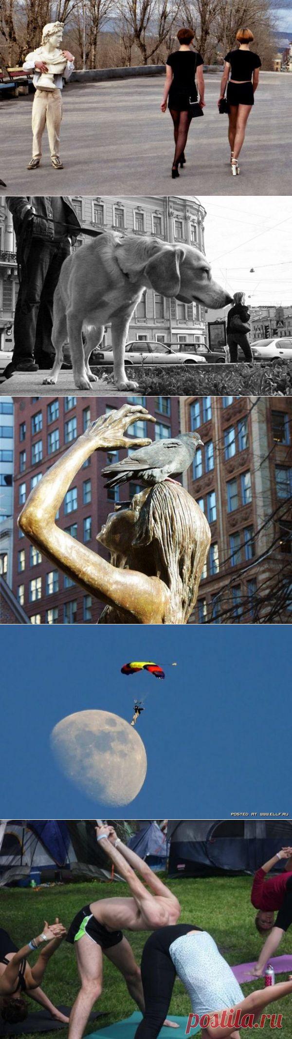 Удачное фото