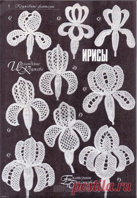 ирис - Самое интересное в блогах
