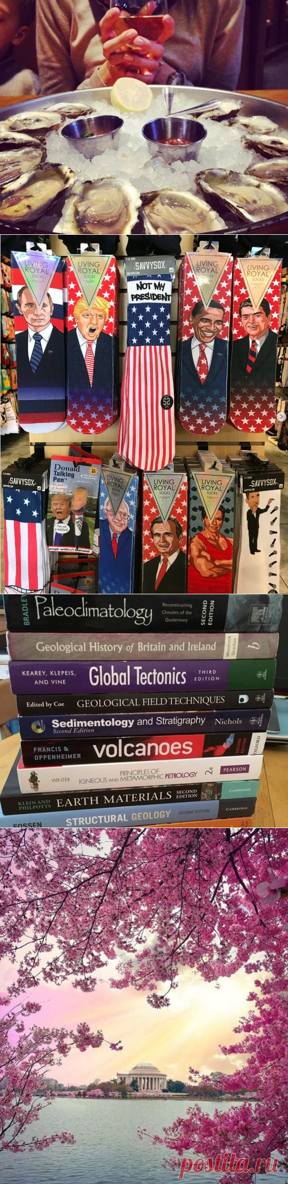 Всё не как у людей: 12 традиций в США, которые вызывают у европейца культурный диссонанс / Туристический спутник