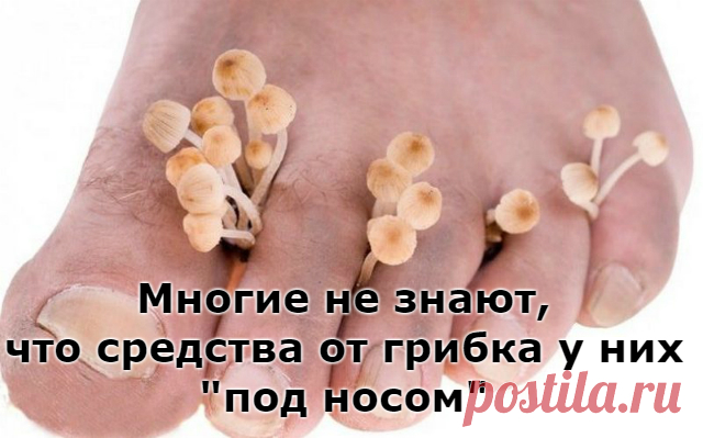 Многие не знают, что средства от грибка у них «под носом»
