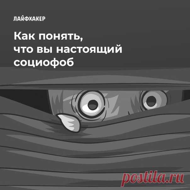 Социофобами сегодня именуют себя все кому не лень. Это эдакий образ героя нашего времени — замкнутого, отстранённого интроверта, не желающего вливаться в толпу и следовать массовым трендам. Но на самом деле всё совсем не так: