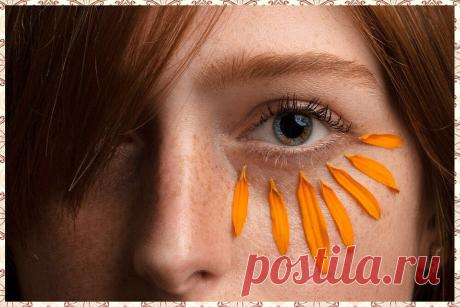 Не только морковь и черника. Зоркость глаз – какие ещё продукты улучшают зрение | «Мой Хлеб» FOOD | Яндекс Дзен