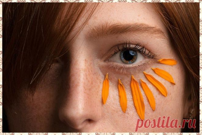 Не только морковь и черника. Зоркость глаз – какие ещё продукты улучшают зрение | «Мой Хлеб» FOOD | Яндекс Дзен