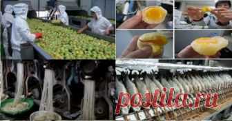10 продуктов, сделанных в Китае, которые наполнены пластиком, пестицидами и канцерогенными химикатами